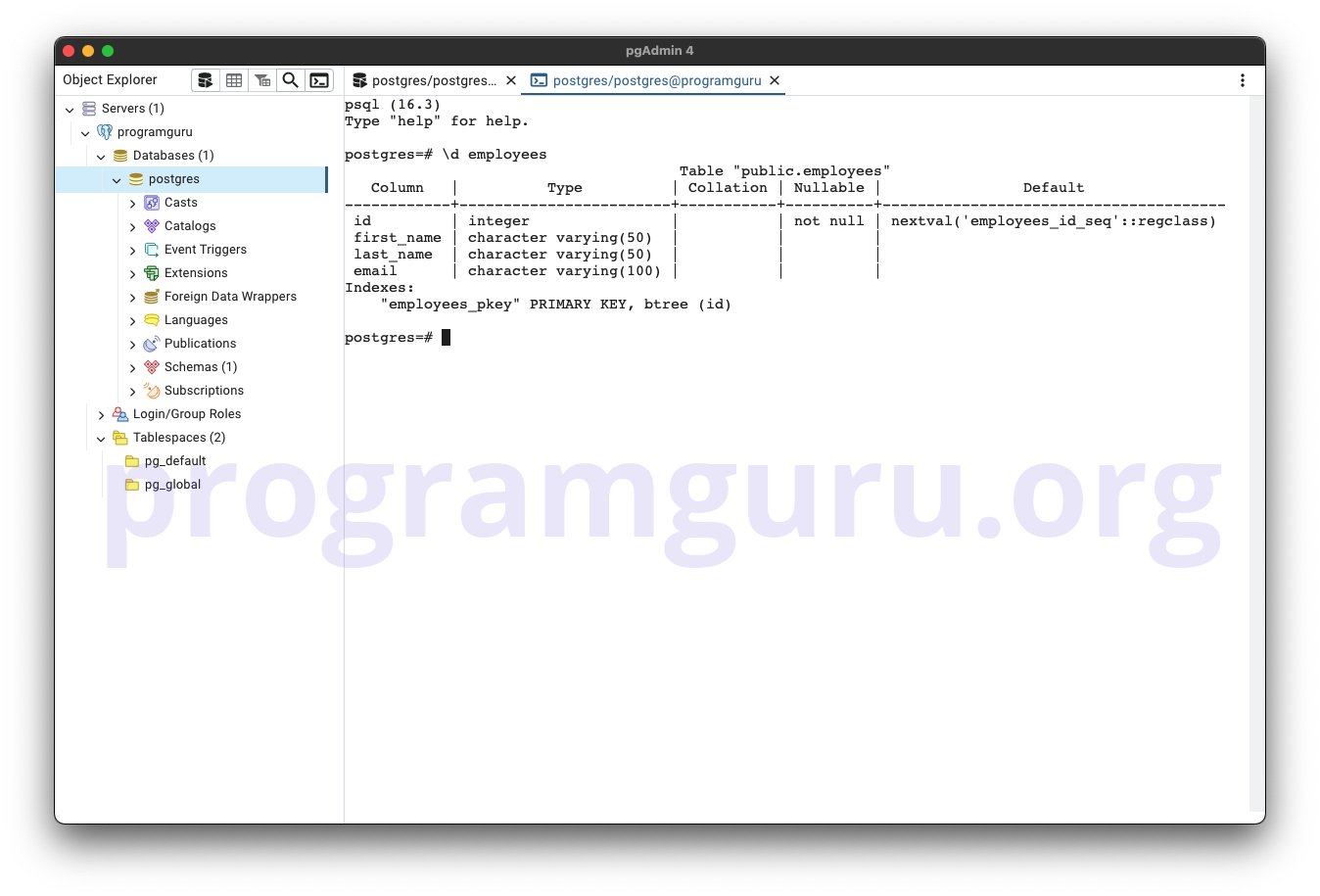 PostgreSQL DESCRIBE TABLE - Step 3