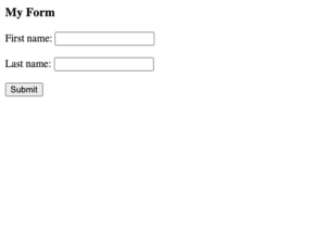 selenium enter text into input