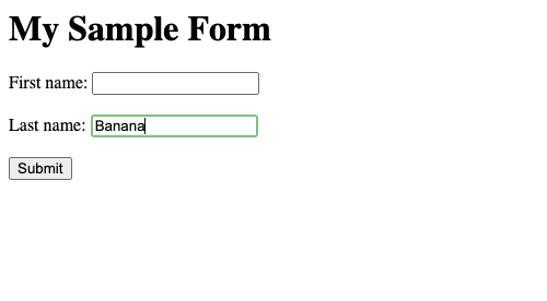 Python Selenium - XPath for input text field using name attribute