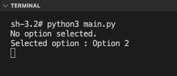 Terminal output when a Radiobutton is selected