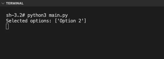 Terminal Output when user selects Checkbutton "Option 2", and clicks on "Show Selected" button