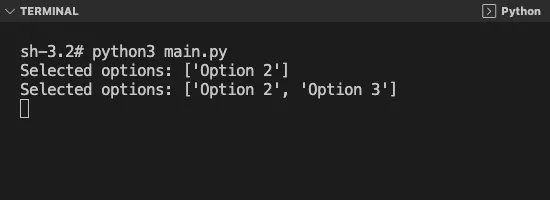 Terminal Output when user selects Checkbutton "Option 3" also, and clicks on "Show Selected" button