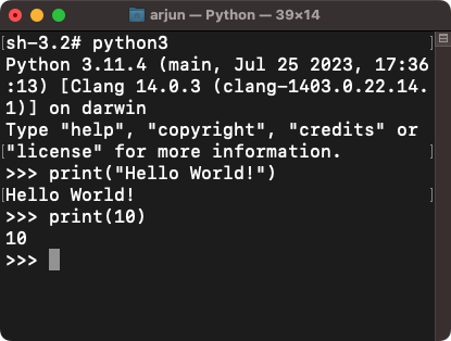 Python print statement in shell