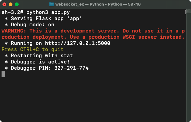 Python Flask and WebSocket Example - Server screenshot