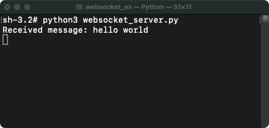 Python Websockets Example