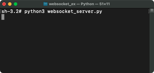 Python Websockets Example